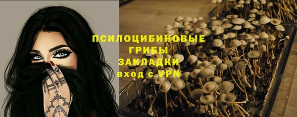 mix Каменногорск